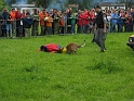 bild (33)